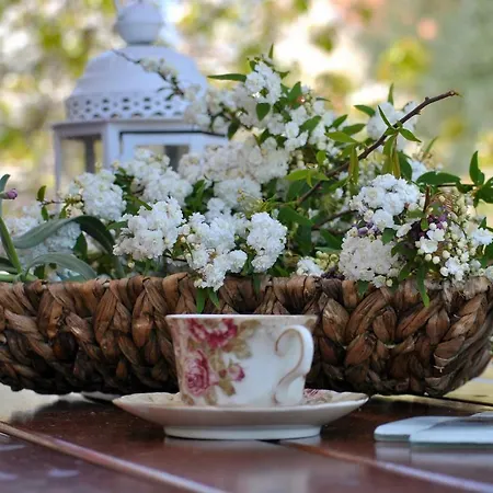 La Nonna Efrosini Apartman *