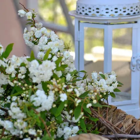 La Nonna Efrosini * Anomeriá