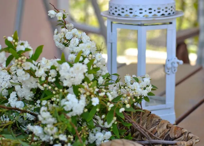 La Nonna Efrosini * Anomeriá